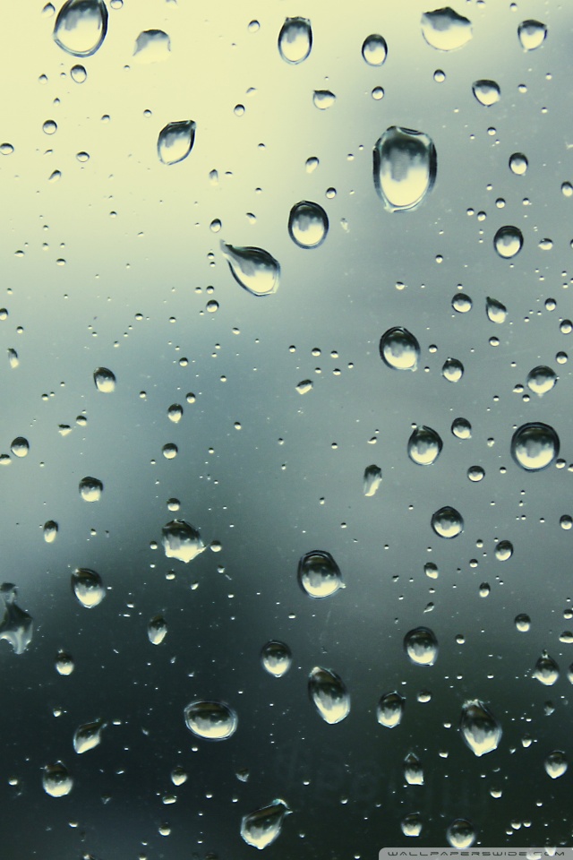 fond d'écran de gouttes de pluie pour mobile,laissez tomber,l'eau,bruine,humidité,pluie