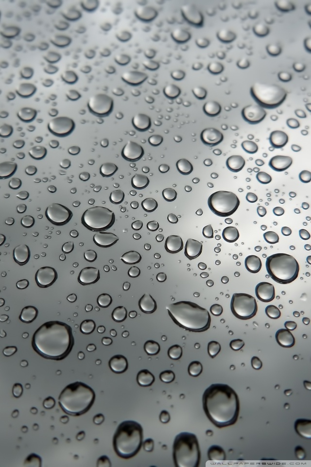 fondo de pantalla de gotas de lluvia para móvil,soltar,agua,humedad,rocío,llovizna