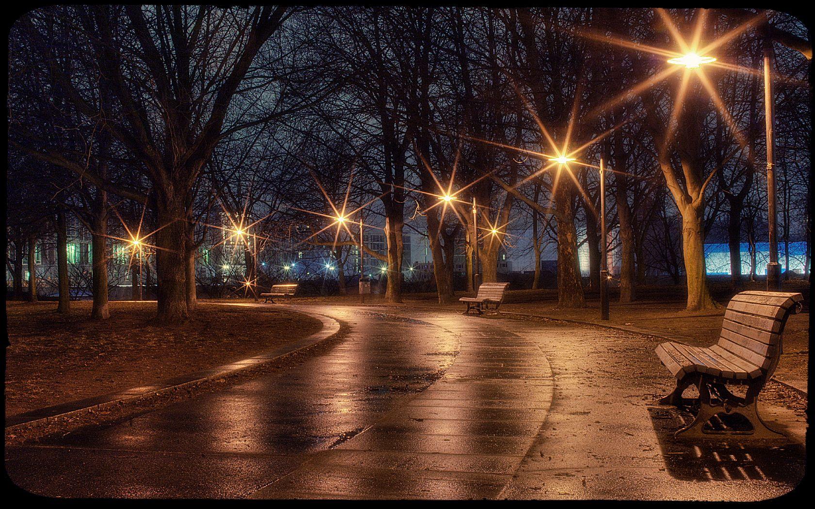 regnerische nachttapete,nacht,himmel,baum,licht,strassenlicht