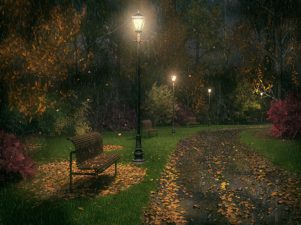 雨の夜の壁紙,自然,自然の風景,点灯,木,光