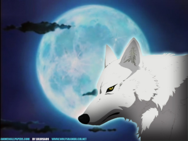 wolf's rain wallpaper,canidae,canis lupus tundrarum,wolf,moonlight,sky