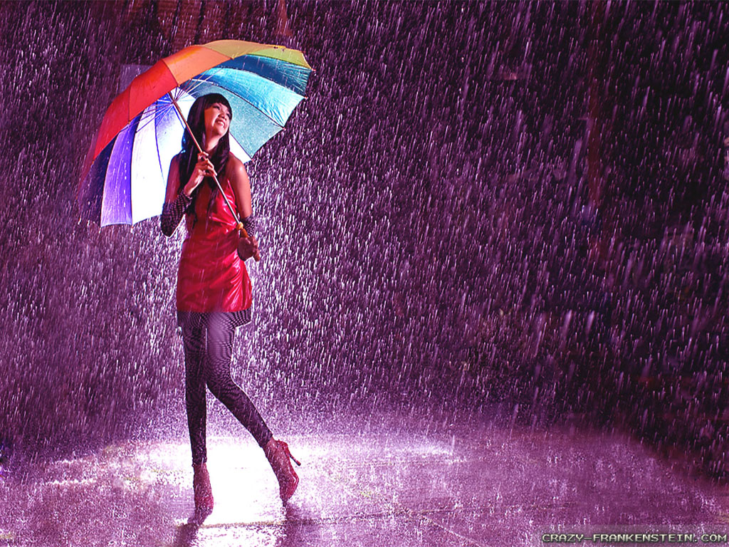 비 로맨틱 벽지,우산,비,보라색,제비꽃,사진술