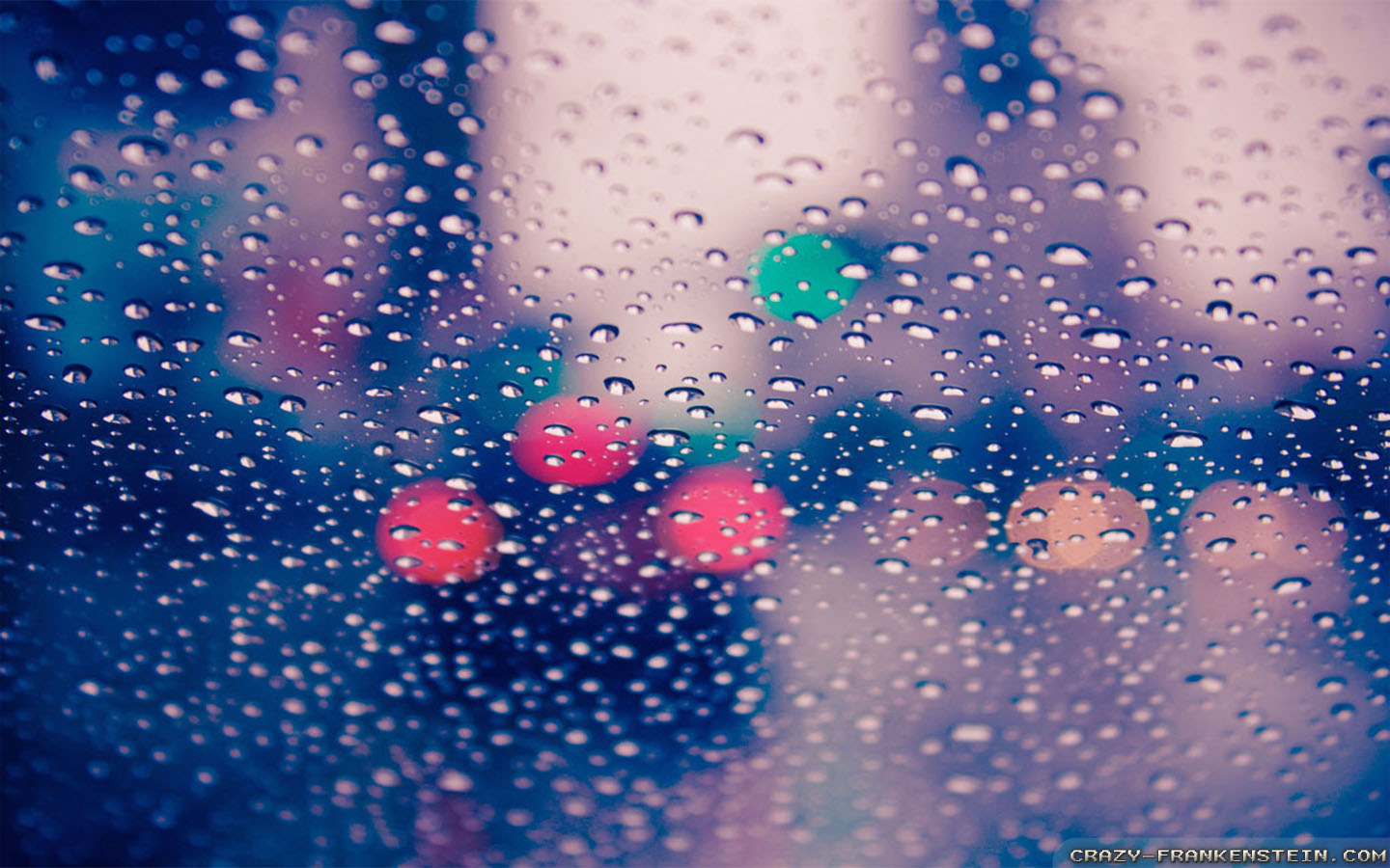 blue, drops, puddle, rain, raindrops, theme calm, water 4k wallpaper -  Coolwallpapers.me!