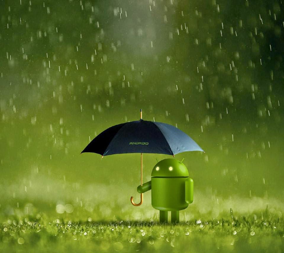 rain wallpaper android,green,nature,water,natural landscape,leaf