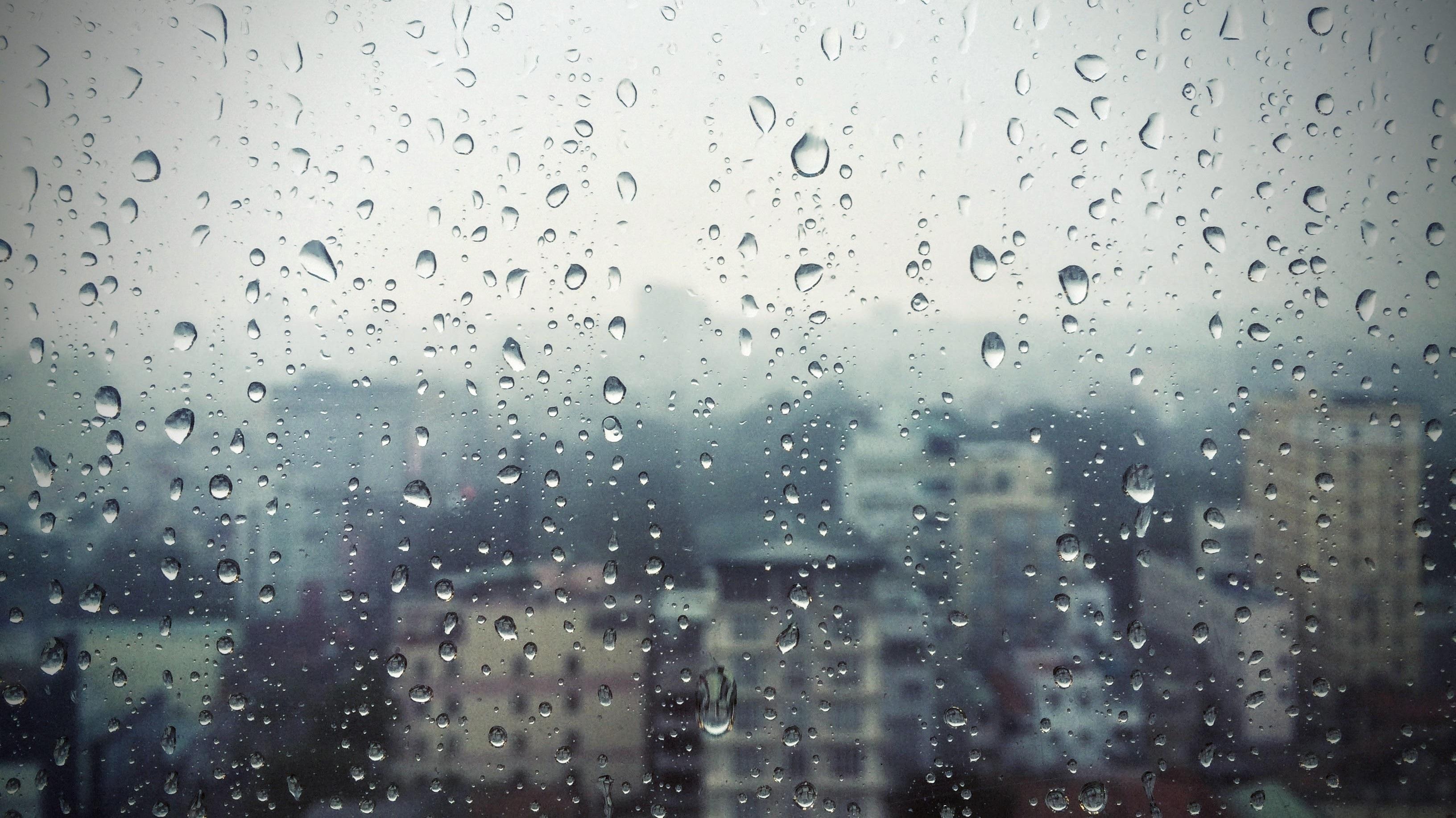 비오는 창 벽지,물,이슬비,비,하락,수분