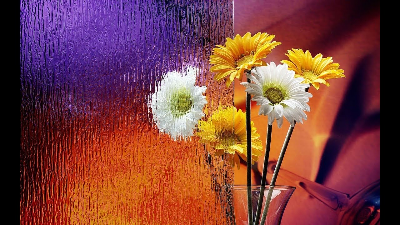 rain flowers wallpapers,flower,yellow,gerbera,petal,barberton daisy