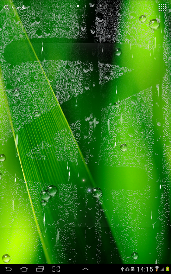 pc用の雨ライブ壁紙,緑,水,水分,露,葉