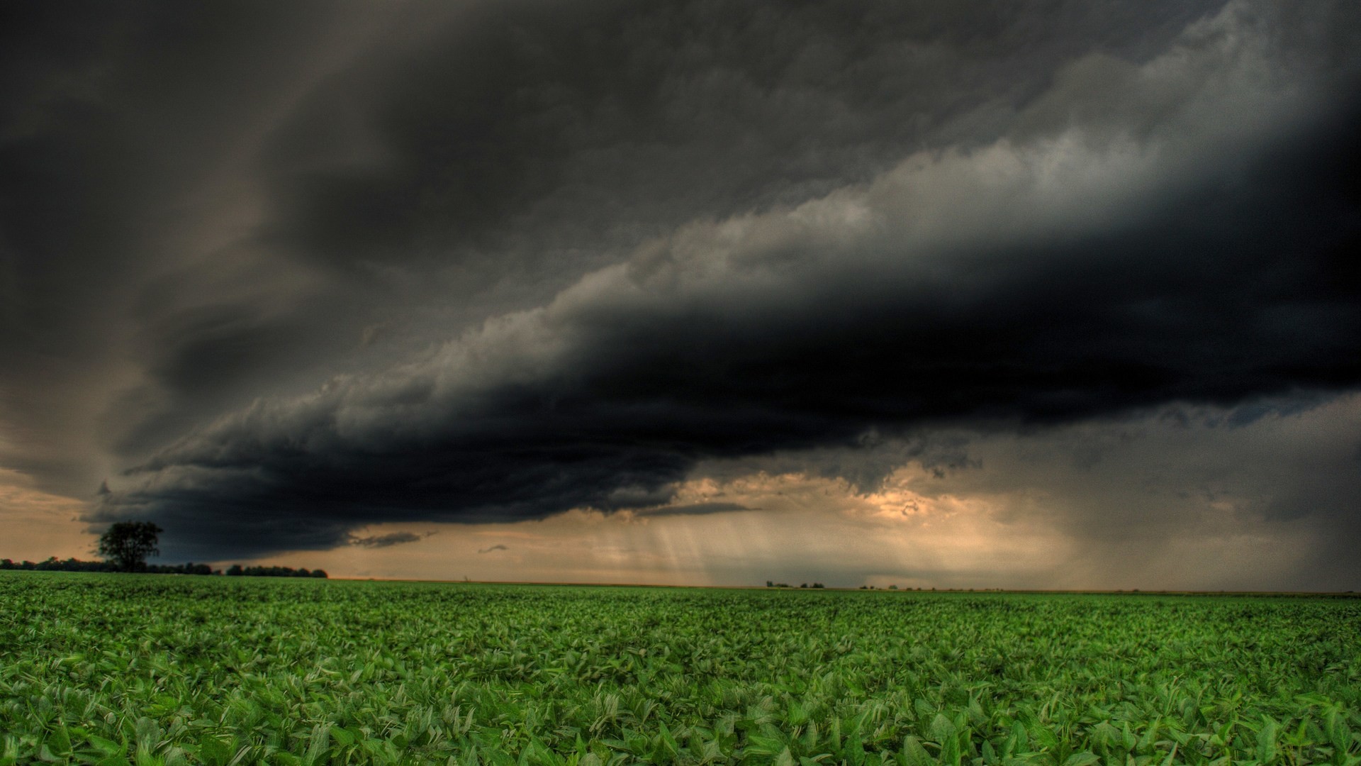 regentapete full hd,himmel,wolke,natur,feld,grün