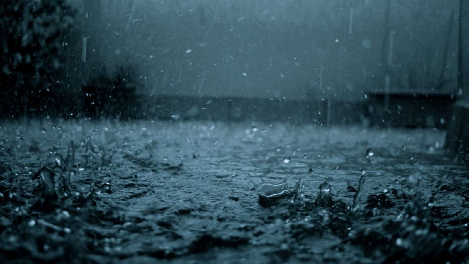 lluvia naturaleza fondo de pantalla,lluvia,negro,agua,naturaleza,llovizna