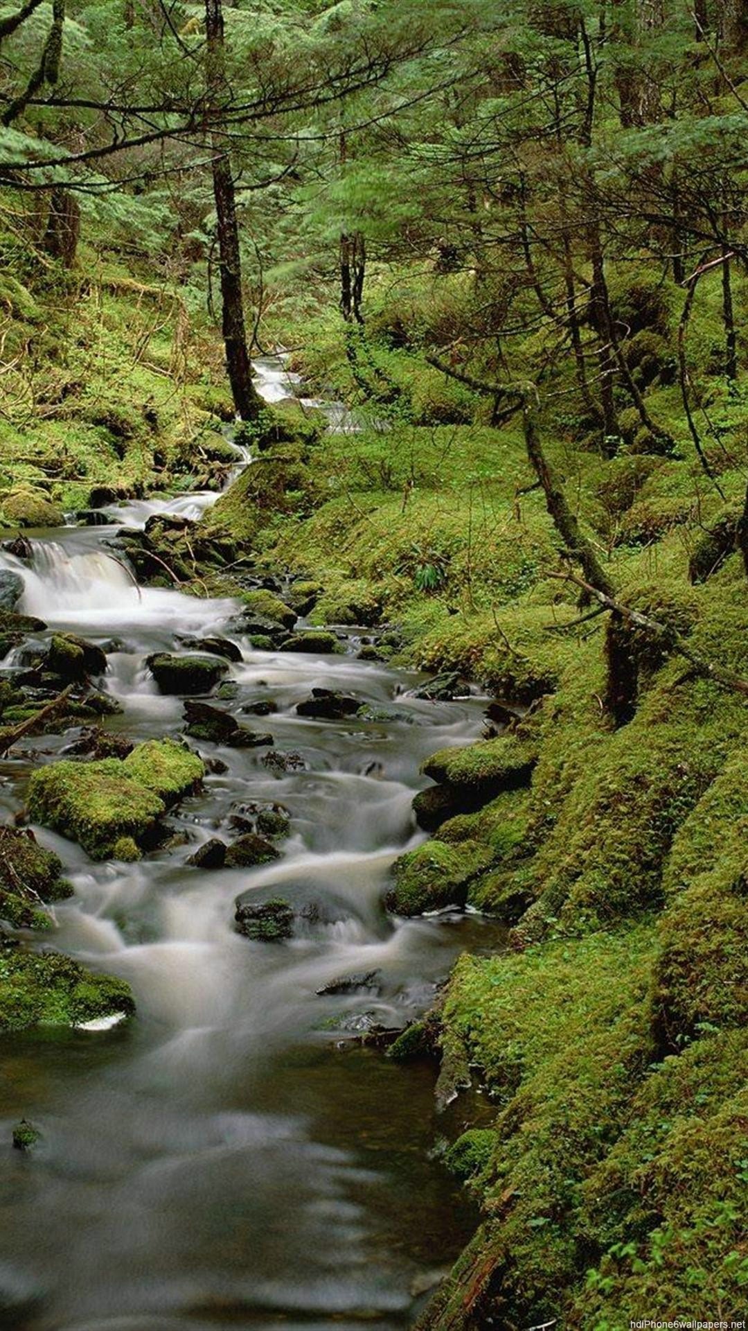 carta da parati natura pioggia,ruscello,corpo d'acqua,paesaggio naturale,natura,risorse idriche