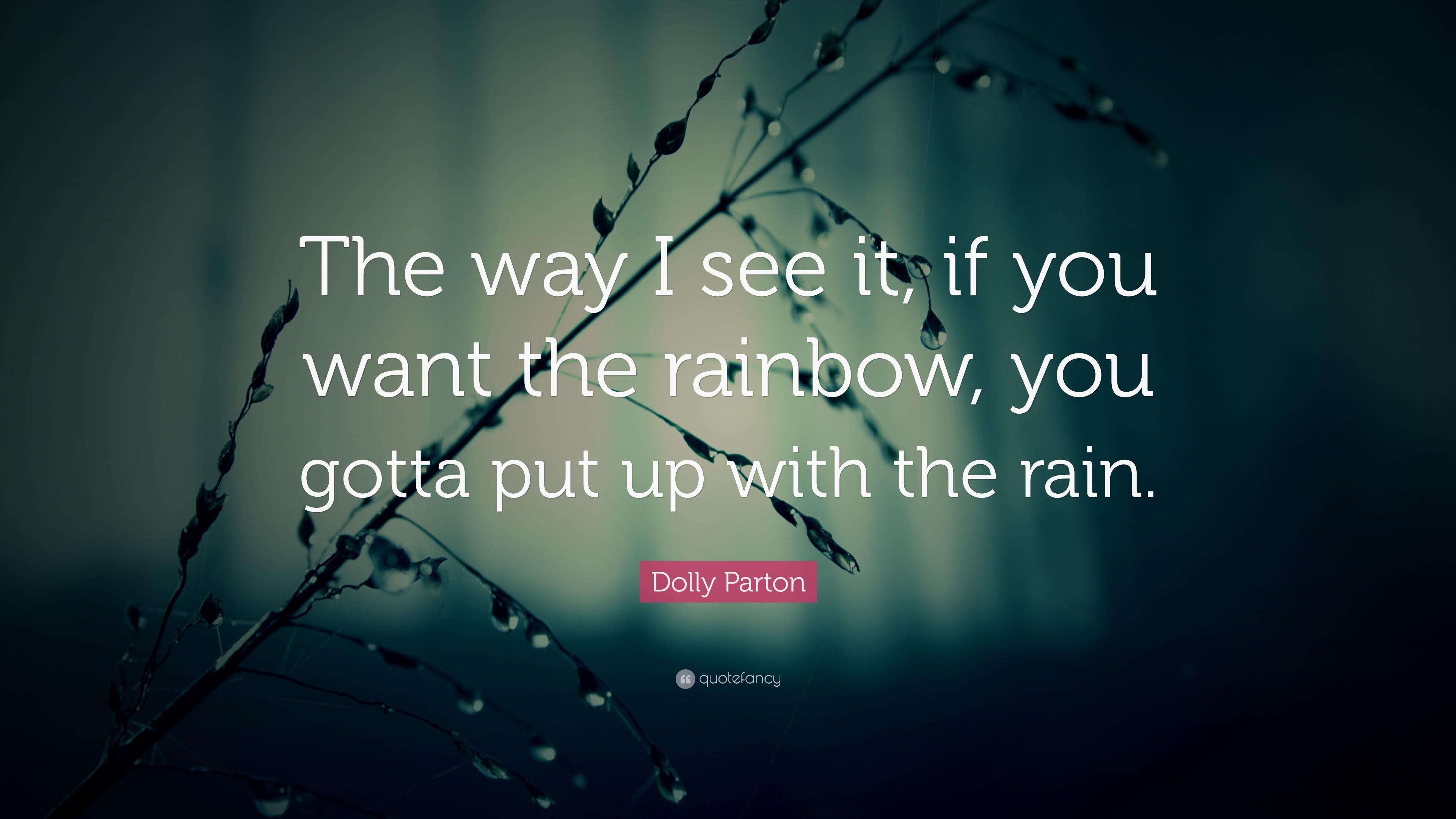 rain wallpapers with quotes,text,font,water,adaptation,line