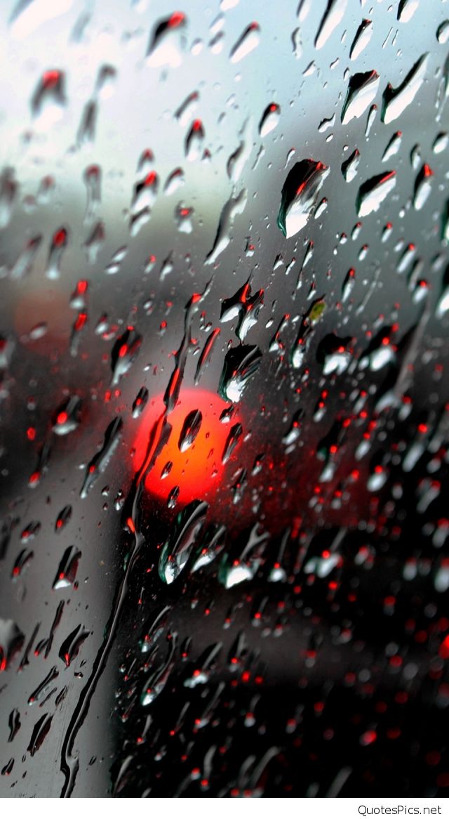 rain wallpaper for mobile,water,rain,drop,red,geological phenomenon