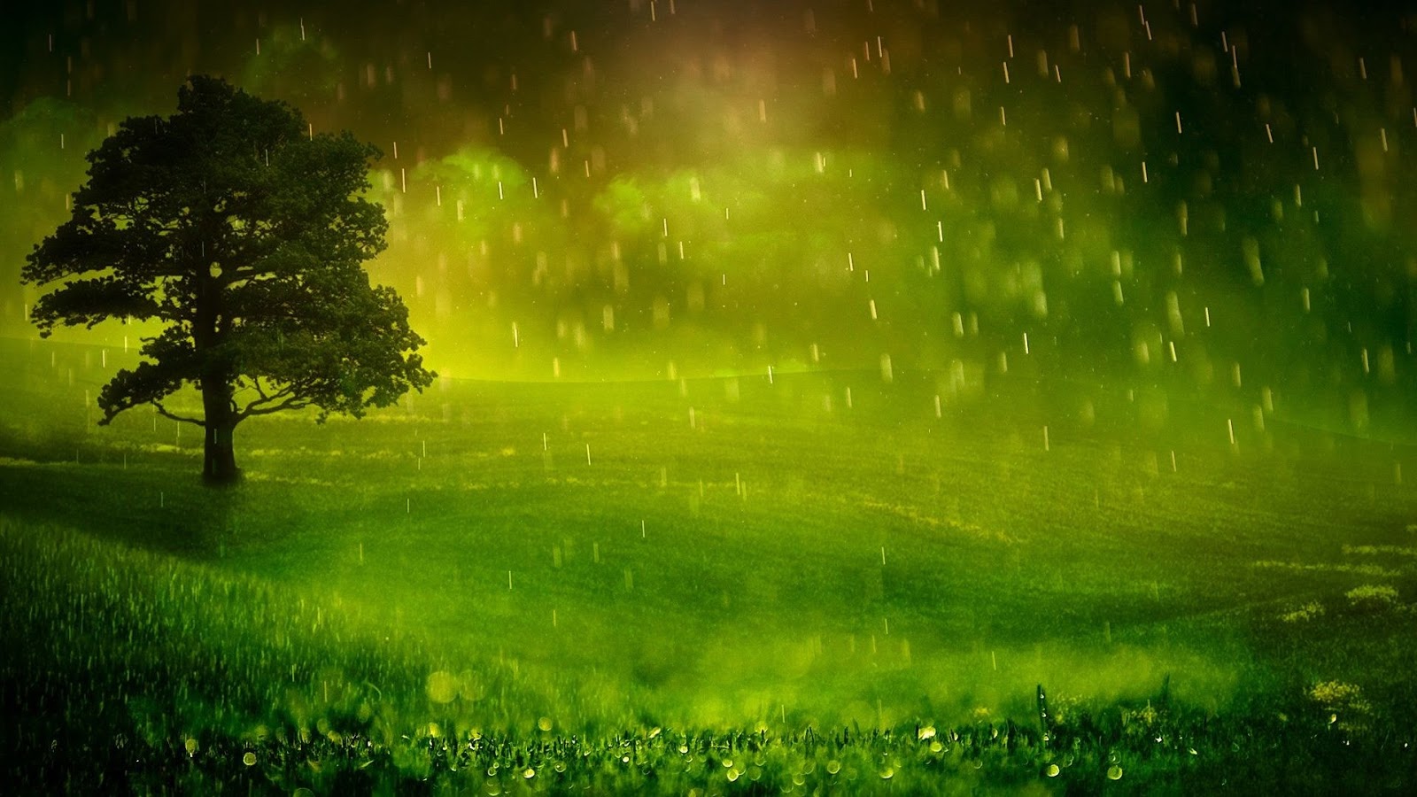 beautiful rain wallpaper,green,nature,natural landscape,sky,light