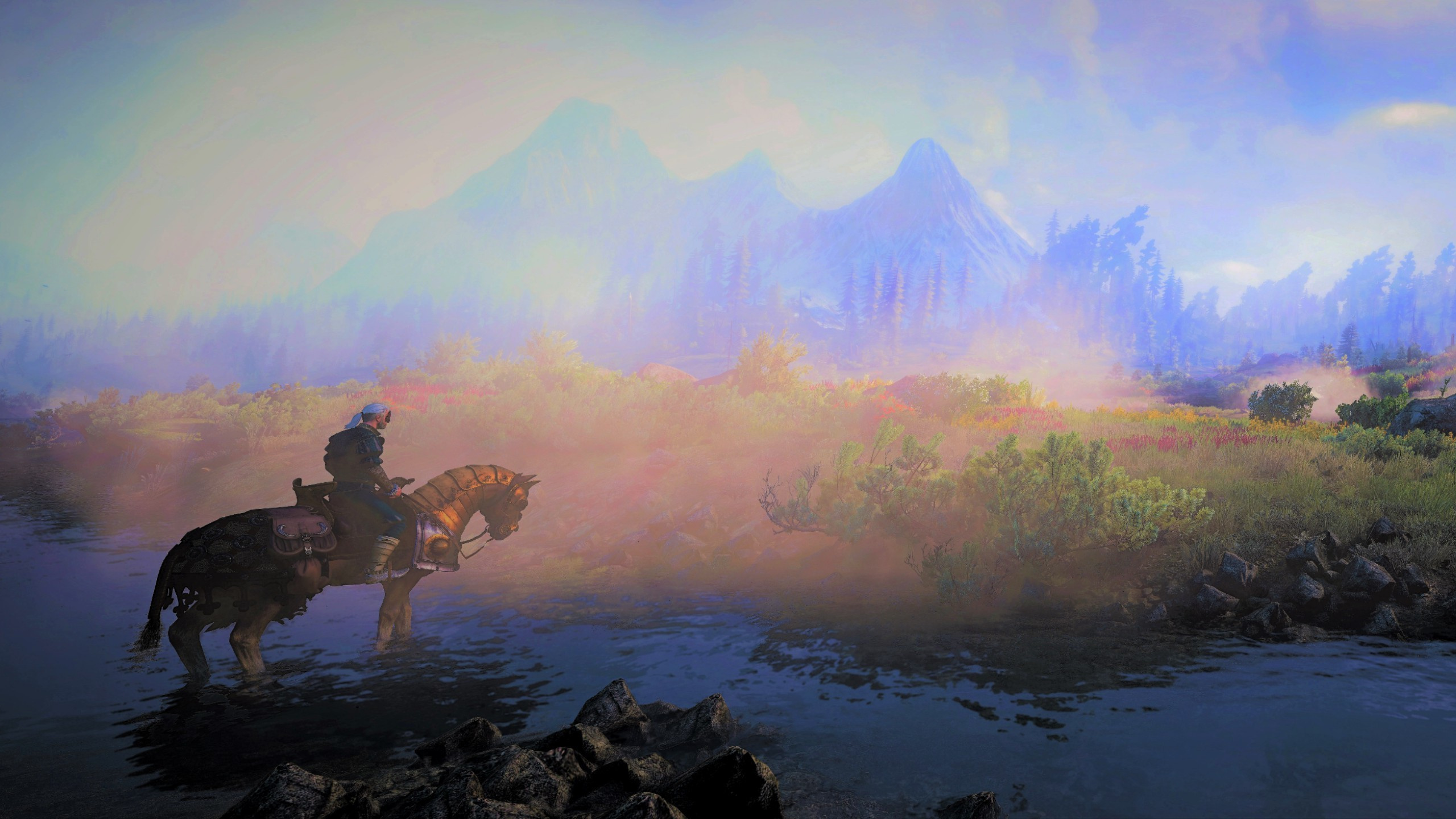 witcher 3 animated wallpaper,nature,sky,atmospheric phenomenon,horse,morning