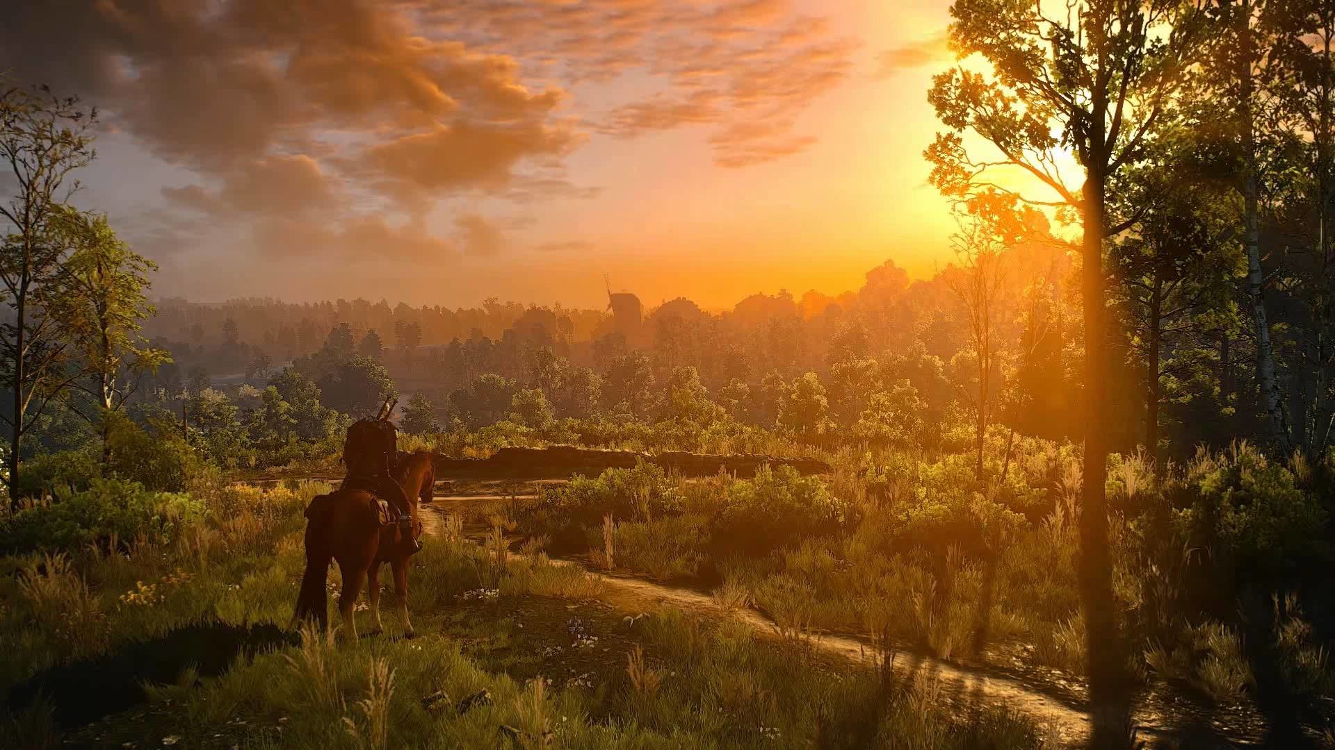 witcher 3 fondo de pantalla animado,naturaleza,paisaje natural,cielo,luz del sol,mañana