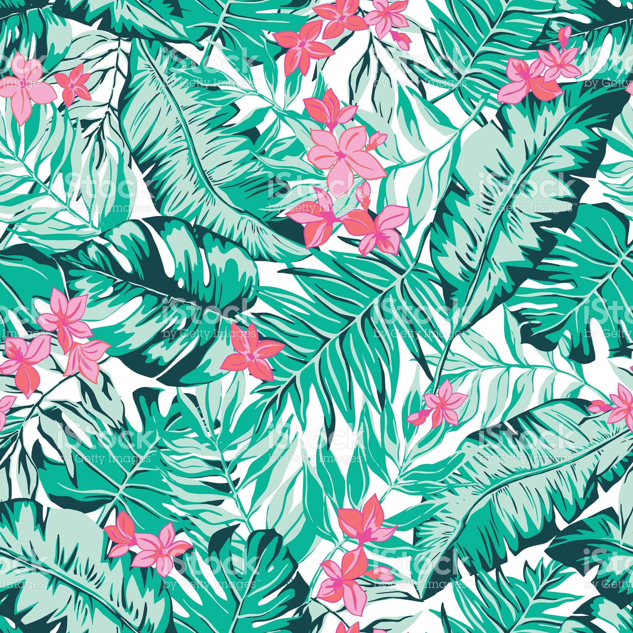 vector de patrón de papel tapiz,modelo,hoja,rosado,flor,planta