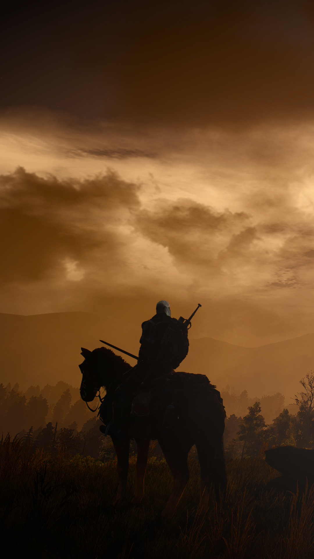 the witcher 3 iphone wallpaper,horse,sky,landscape,photography,stallion