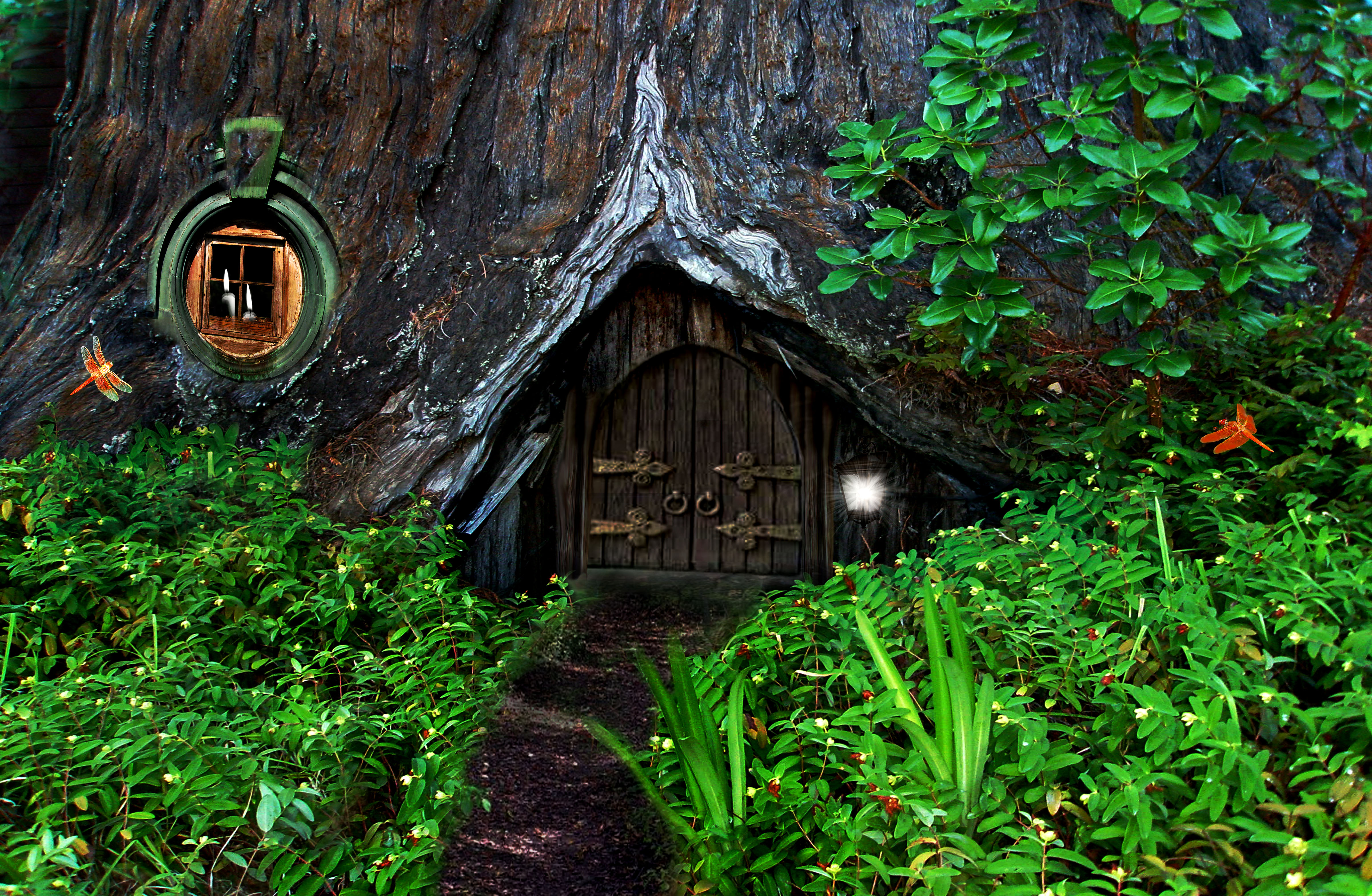 papel pintado de la casa del árbol,naturaleza,verde,árbol,hoja,selva