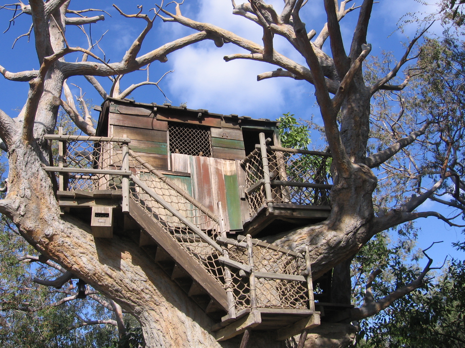 treehouse wallpaper,tree,tree house,house,branch,woody plant