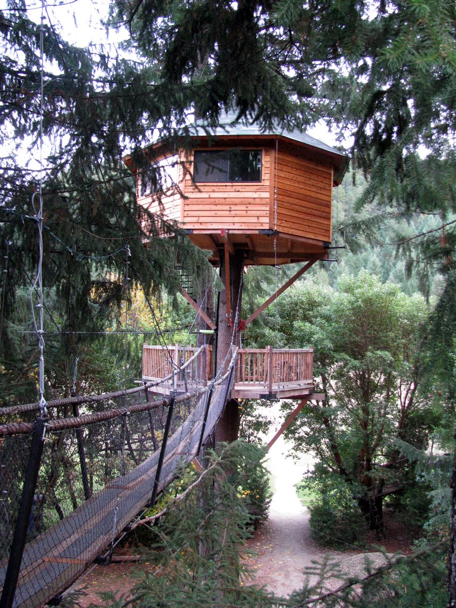 treehouse wallpaper,tree house,nature reserve,tree,house,tree stand