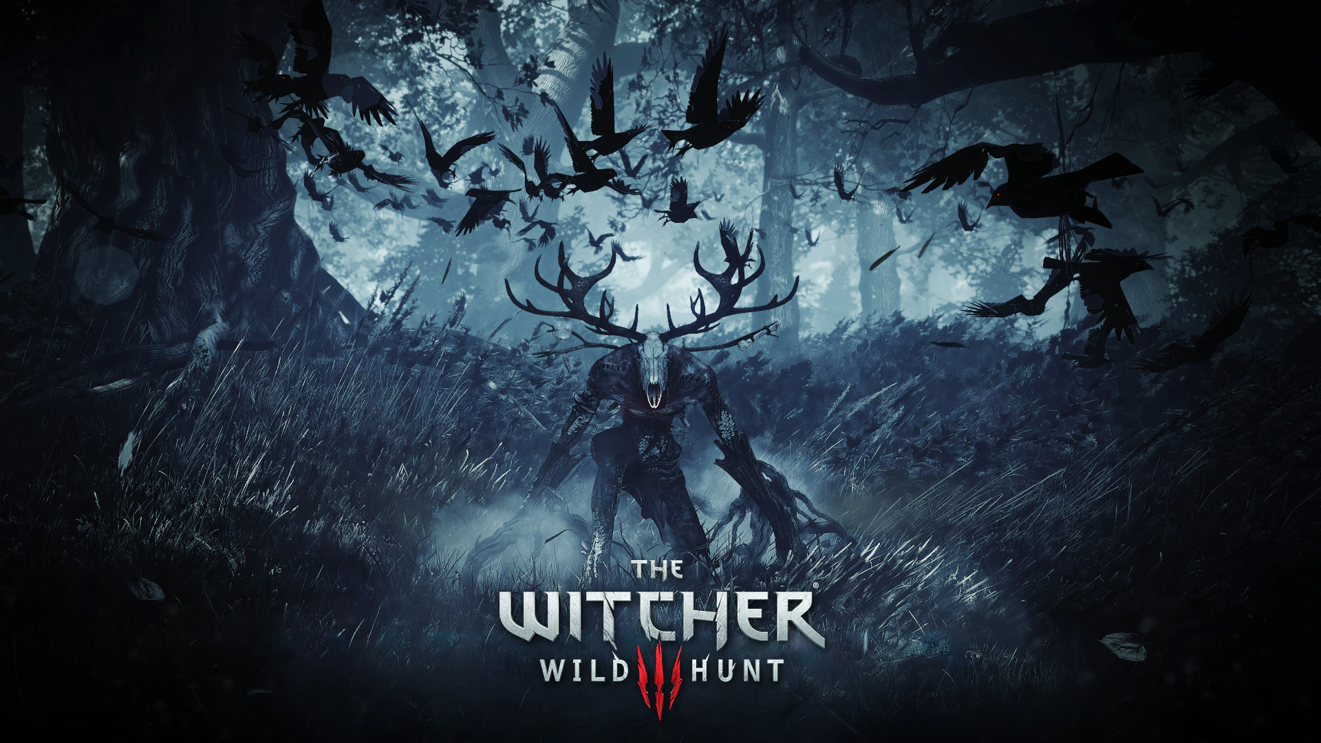 the witcher 3 wild hunt wallpaper,action adventure game,darkness,movie,fiction,graphic design