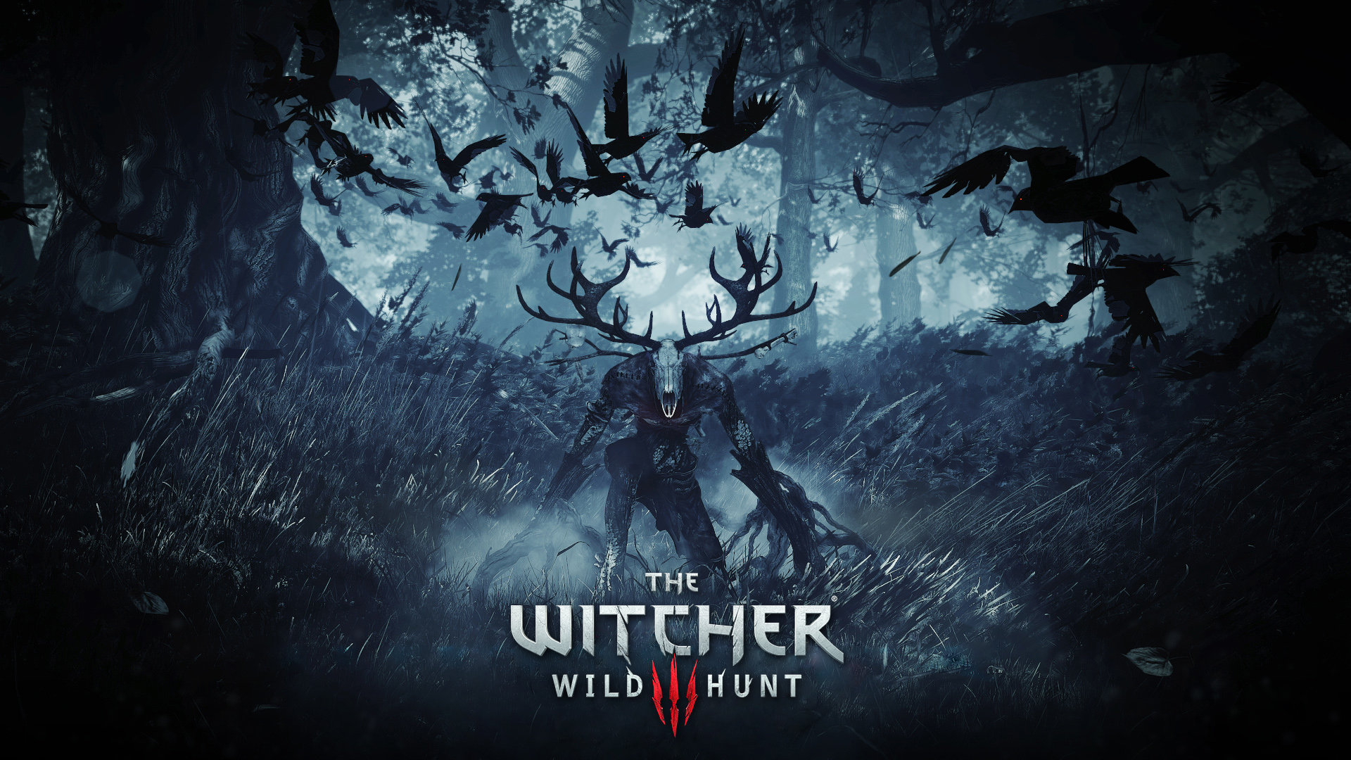 el fondo de pantalla de la caza salvaje de witcher 3,juego de acción y aventura,oscuridad,película,ficción,diseño gráfico