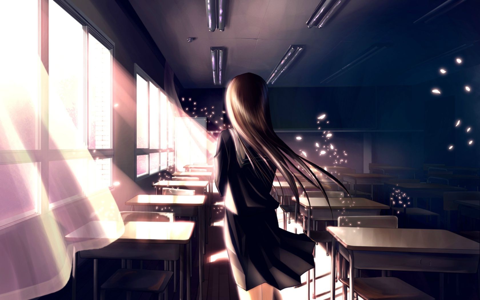 anime schule wallpaper,licht,schnappschuss,fotografie,spaß,zimmer