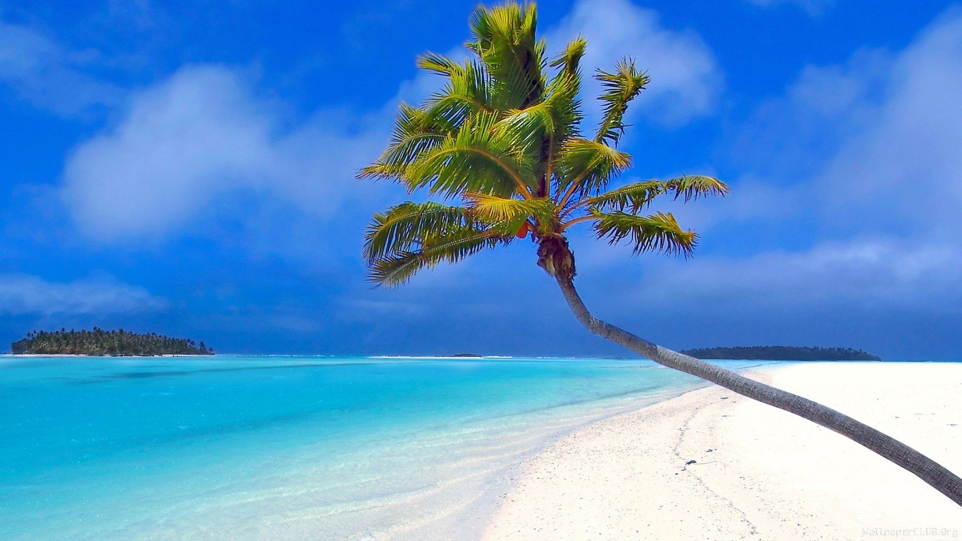 最高のビーチの壁紙,自然,空,木,自然の風景,カリブ海