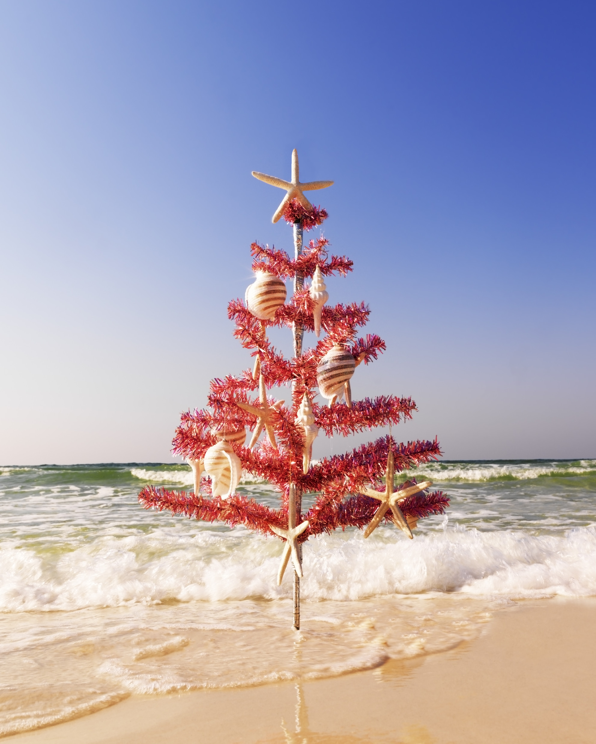 navidad playa fondo de pantalla,árbol de navidad,decoración navideña,cielo,árbol,diseño de interiores