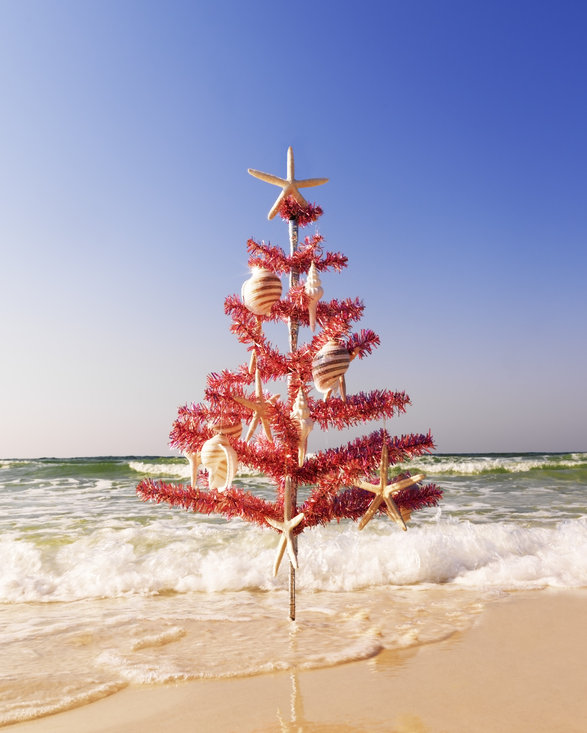 weihnachtsstrand tapete,weihnachtsbaum,weihnachtsdekoration,himmel,baum,innenarchitektur