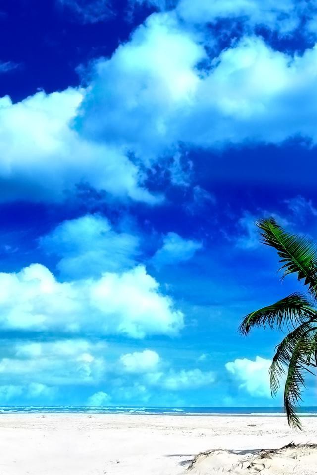 クリスマスビーチの壁紙,空,自然,青い,自然の風景,昼間