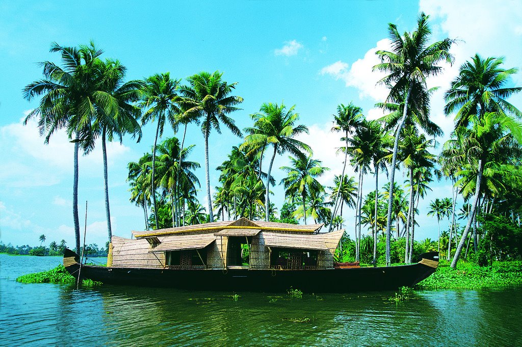 indian nature wallpaper,water transportation,nature,tree,vegetation,palm tree