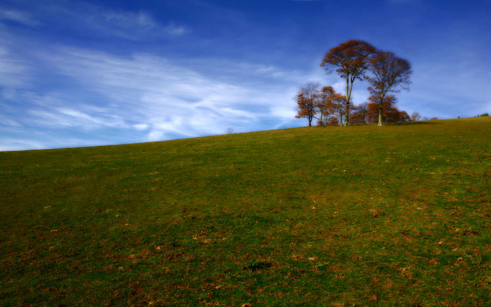 papier peint nature indienne,ciel,la nature,prairie,paysage naturel,vert