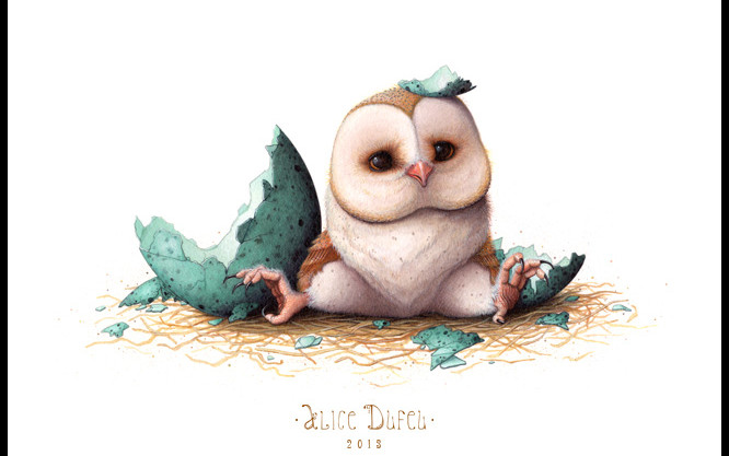 owl cartoon wallpaper,owl,bird,barn owl,snowy owl,bird of prey