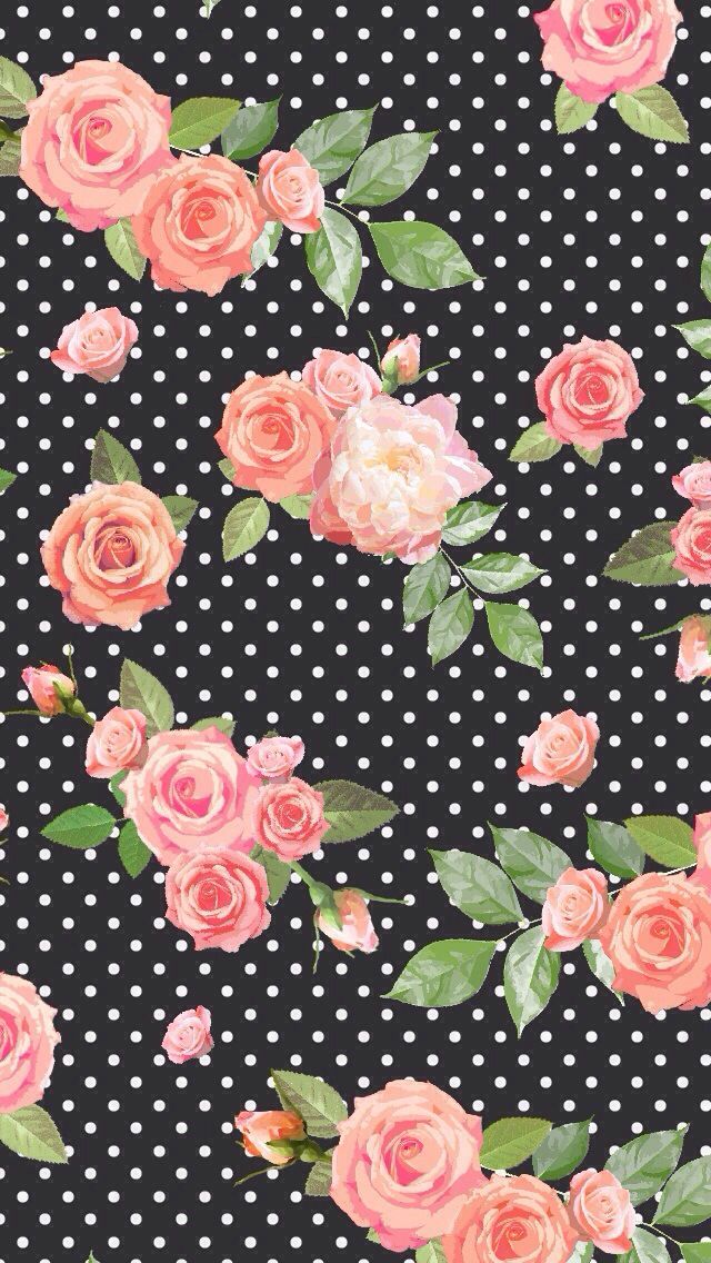 검은 물방울 무늬 벽지,무늬,분홍,폴카 도트,정원 장미,장미