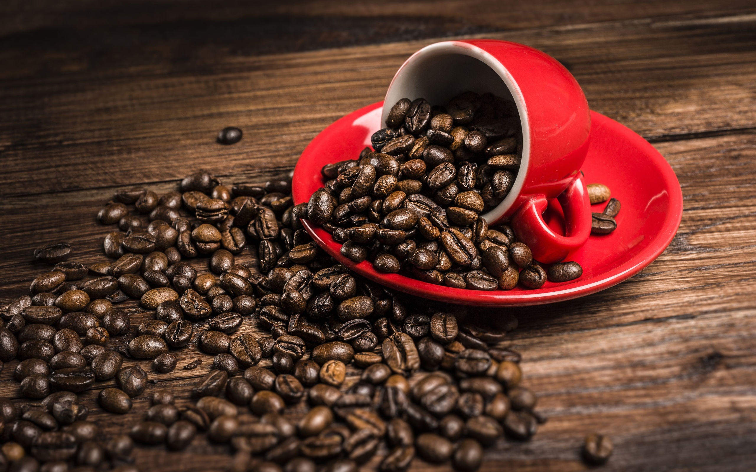 coffee bean wallpaper,caffeine,kapeng barako,single origin coffee,java coffee,jamaican blue mountain coffee