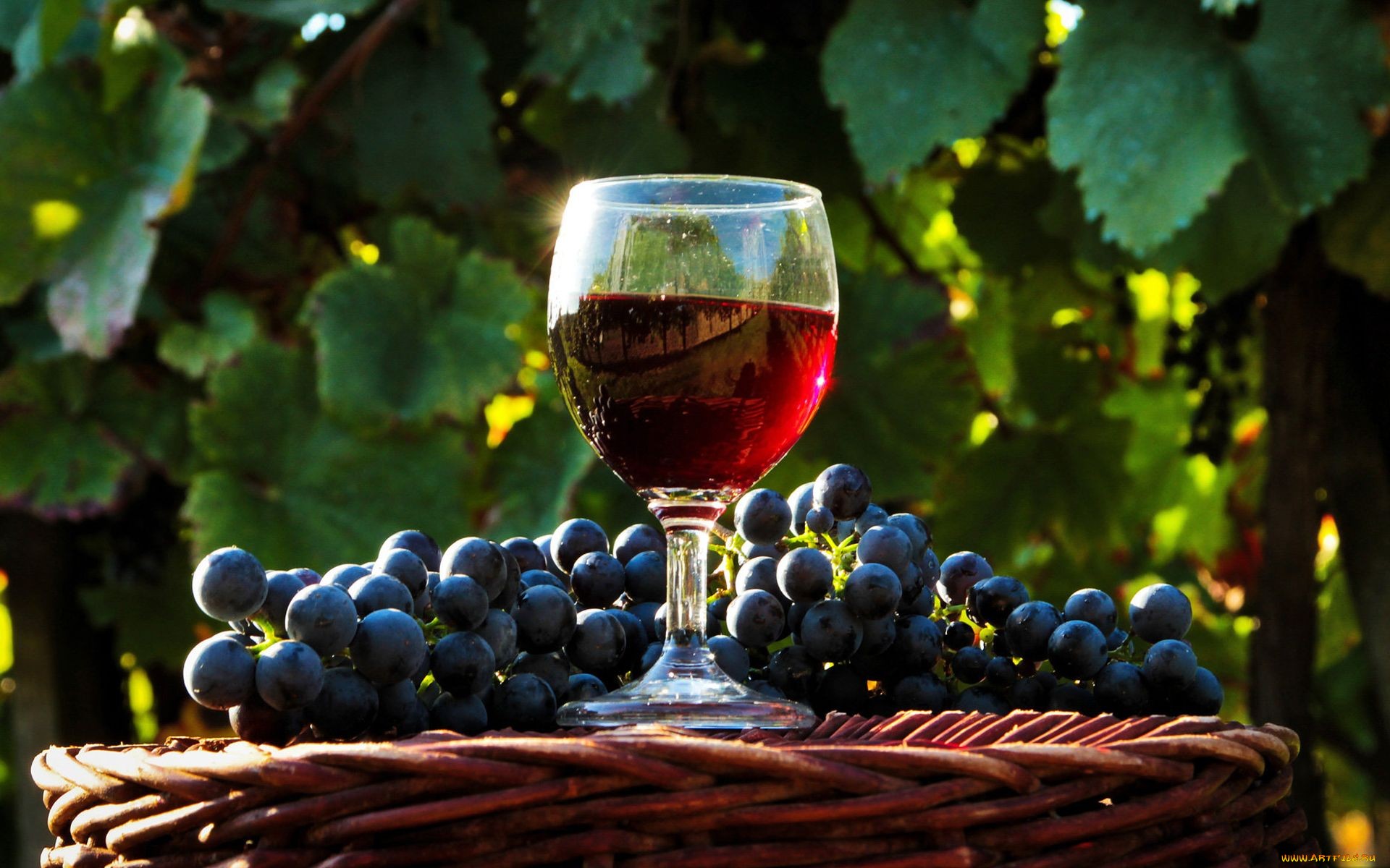 モバイル用のワインの壁紙,葡萄,脚付きグラス,ワイングラス,赤ワイン,ドリンク
