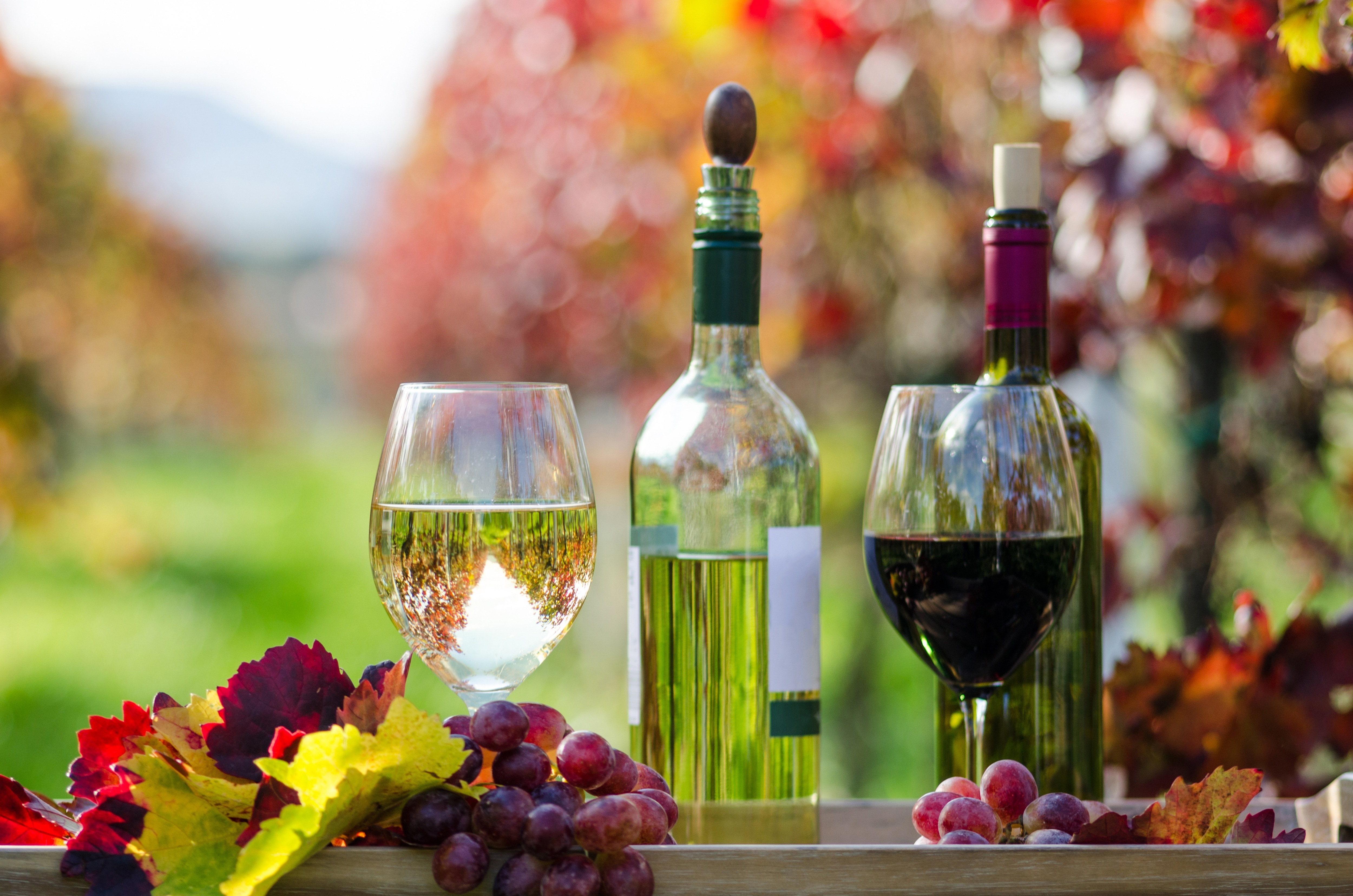 와인 벽지 hd,와인 잔,병,와인 병,유리 병,적포도주