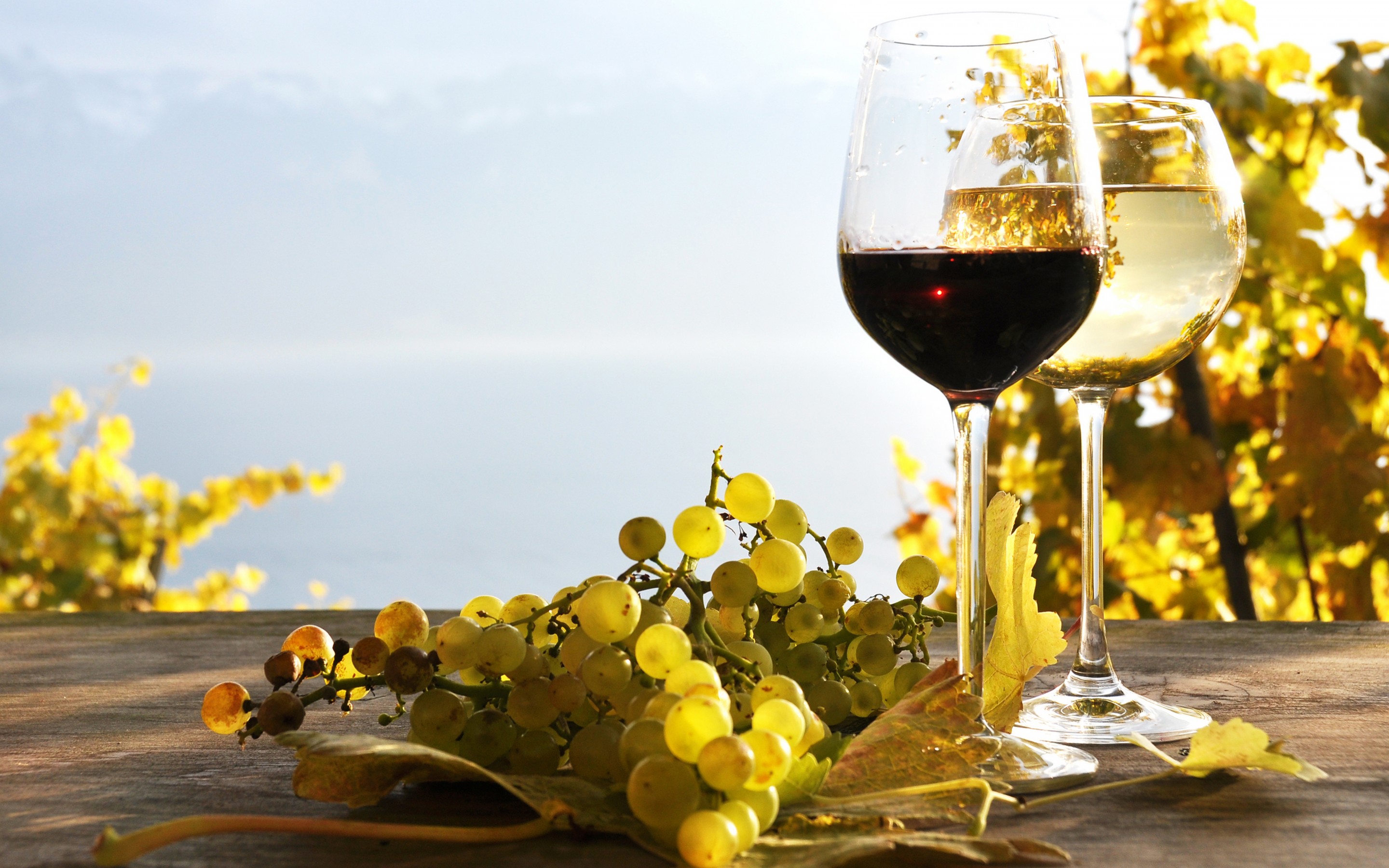 ワインの壁紙のhd,シャンパンの脚付きグラス,ドリンク,ワイン,ワイングラス,脚付きグラス