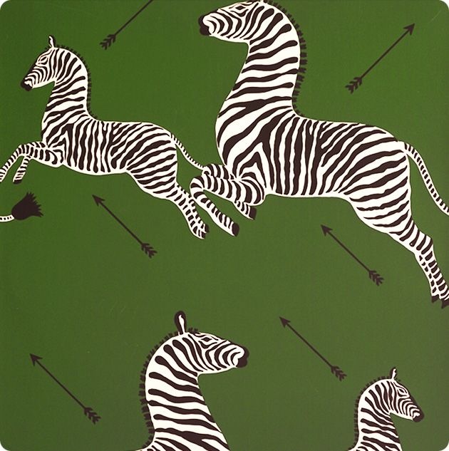 carta da parati zebra scalamandre,zebra,verde,animale terrestre,natura,prateria