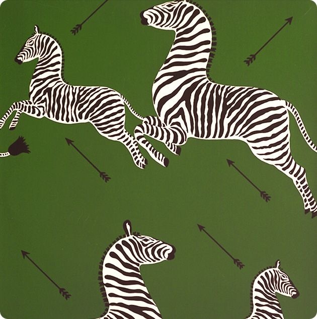 Zebra Print Wallpaper Wes Anderson WallpaperUse