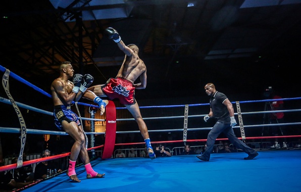 kick boks fond d'écran,sport de combat,gant de boxe,muay thai,sports de combat saisissants,ring de boxe