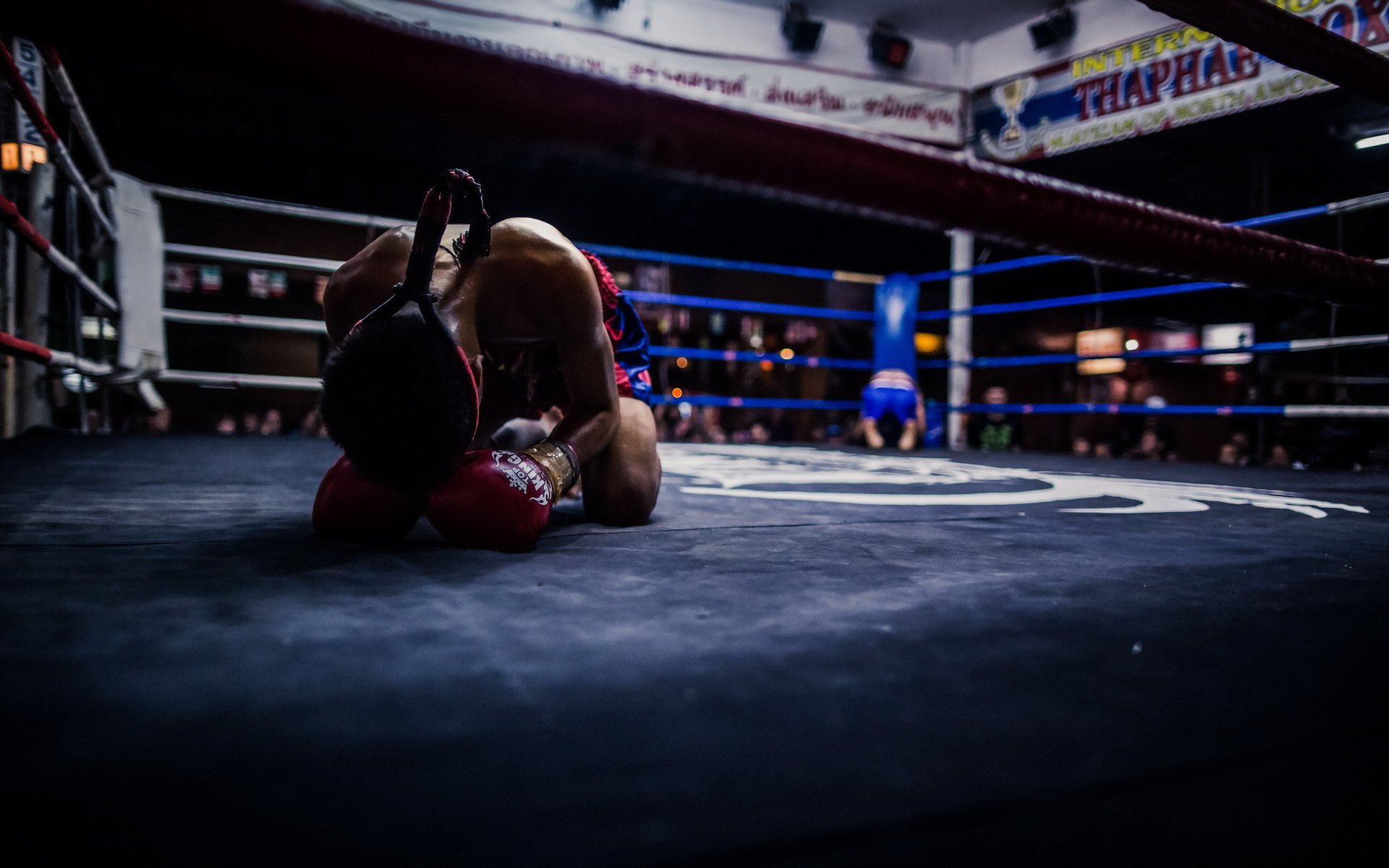 boxe wallpaper,sport venue,boxing ring,combat sport,boxing,contact sport