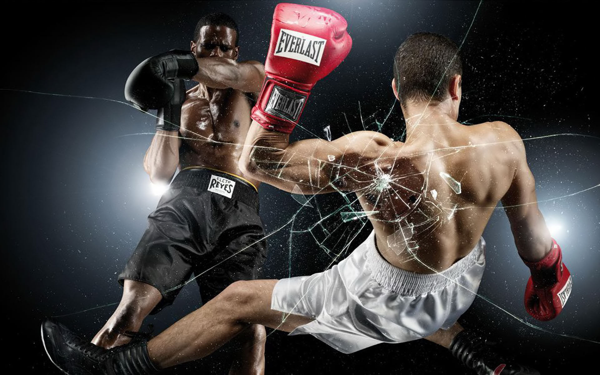 boxe tapete,boxhandschuh,boxen,professionelles boxen,kampfsport,muay thai