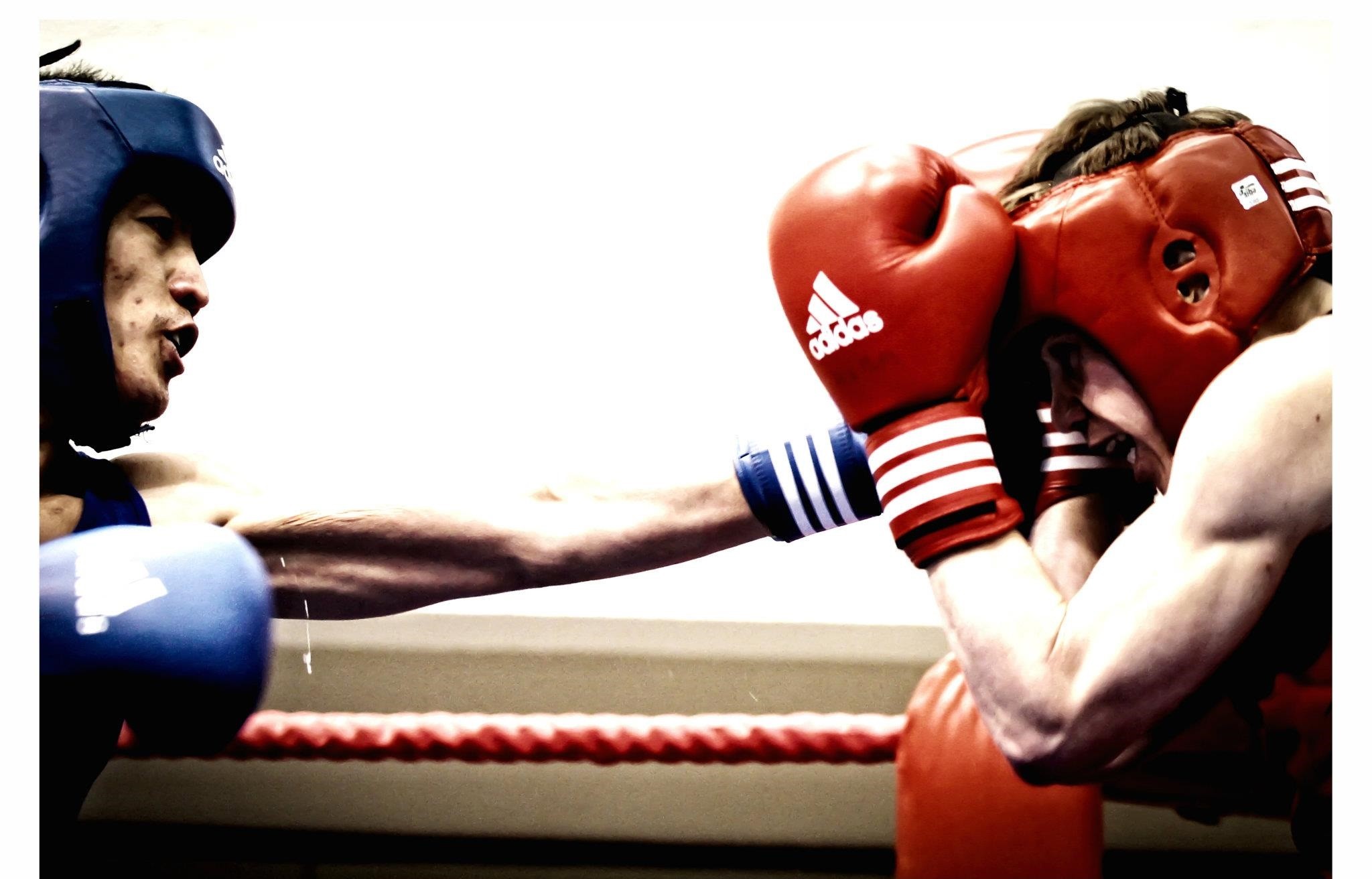 fond d'écran boxe,boxe,ring de boxe,gant de boxe,boxe professionnelle,sport de combat