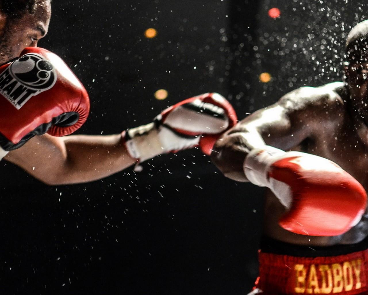 fond d'écran boxe,boxe,gant de boxe,boxe professionnelle,sports de combat saisissants,des sports