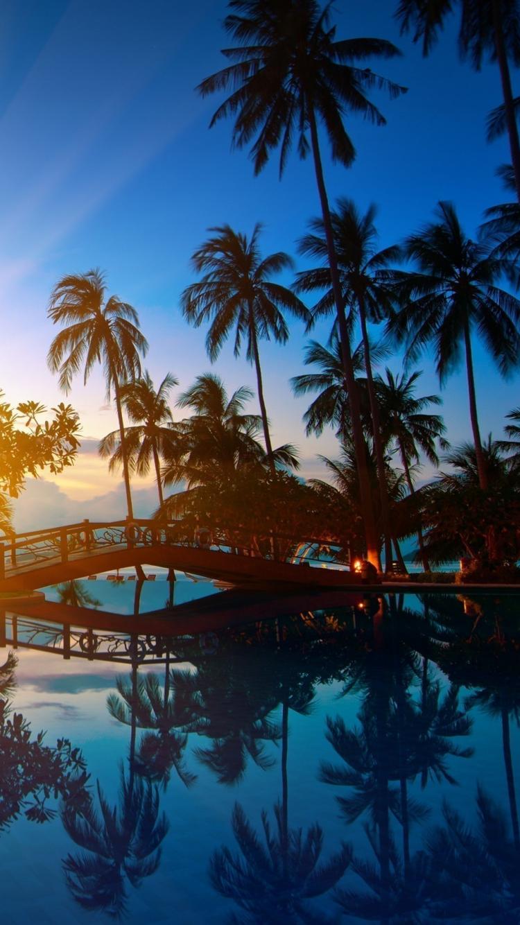 thailand iphone wallpaper,resort,nature,sky,palm tree,swimming pool