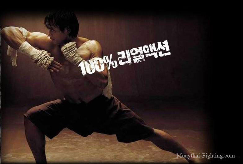 muay thai wallpaper hd,kung fu,kung fu,font,ballerino,gli sport