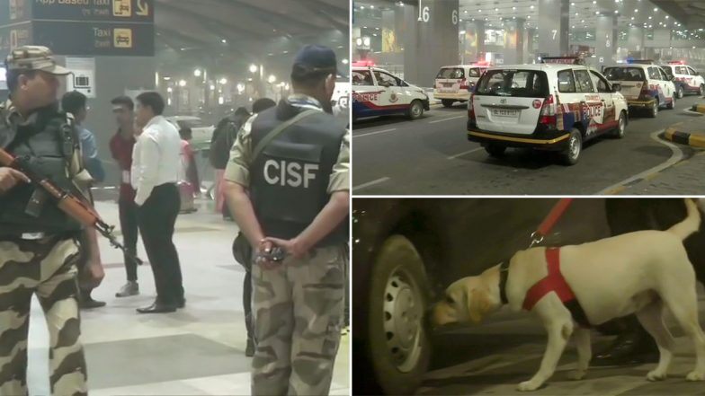 델리 공항 배경 화면,경찰견,개,차량,주둥이,법 집행