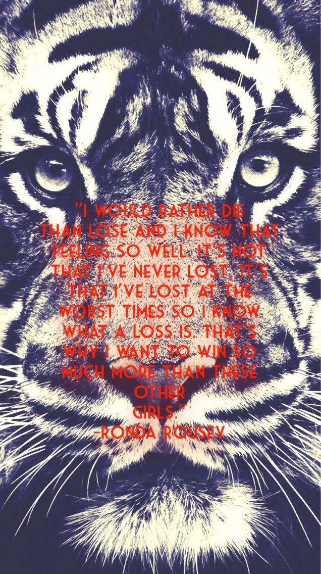 mma iphone wallpaper,tiger,bengal tiger,felidae,wildlife,siberian tiger